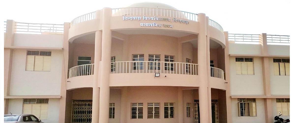 Raja Shankar Shah University